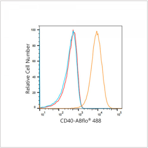ABflo® 488 Rabbit anti-Human CD40 mAb (100 T)