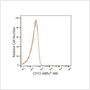 ABflo® 488 Rabbit anti-Human CD13/ANPEP mAb (100 T)