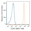 ABflo® 488 Rabbit anti-Human CD45 mAb (100 T)