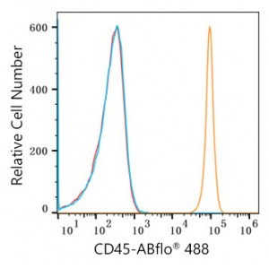 ABflo® 488 Rabbit anti-Human CD45 mAb (100 T)
