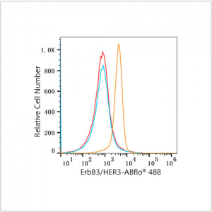 ABflo® 488 Rabbit anti-Human ErbB3/HER3 mAb (100 T)