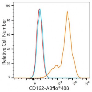 ABflo® 488 Rabbit anti-Human CD162/PSGL-1 mAb (100 T)
