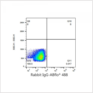 ABflo® 488 Rabbit anti-Human CD166/ALCAM mAb (100 T)