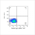 ABflo® 647 Rabbit anti-Human CD166/ALCAM mAb (100 T)