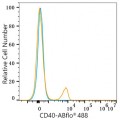 ABflo® 488 Rabbit anti-Human CD40 mAb (100 T)