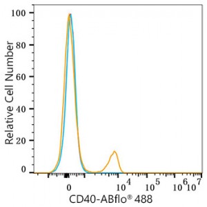ABflo® 488 Rabbit anti-Human CD40 mAb (100 T)