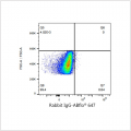ABflo® 647 Rabbit anti-Mouse CD34 mAb (100 T)