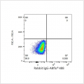 ABflo® 488 Rabbit anti-Mouse CD19 mAb (100 T)
