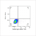ABflo® 594 Rabbit anti-Human CD13/ANPEP mAb (100 T)