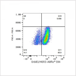 ABflo® 594 Rabbit anti-Human ErbB3/HER3 mAb (100 T)