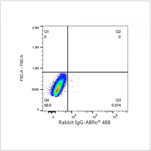 ABflo® 488 Rabbit anti-Human β2 Microglobulin mAb (100 T)
