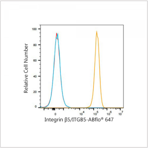 ABflo® 647 Rabbit anti-Human Integrin β5/ITGB5 mAb (100 T)