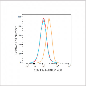 ABflo® 488 Rabbit anti-Human CD213a1/IL-13Rα1 mAb (100 T)