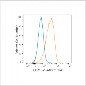 ABflo® 594 Rabbit anti-Human CD213a1/IL-13Rα1 mAb (100 T)