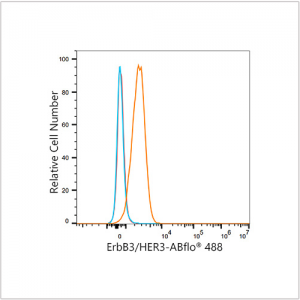 ABflo® 488 Rabbit anti-Human ErbB3/HER3 mAb (100 T)