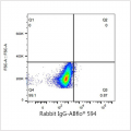 ABflo® 594 Rabbit anti-Human CD166/ALCAM mAb (100 T)