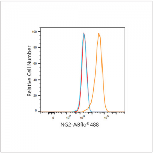 ABflo® 488 Rabbit anti-Human NG2 mAb (100 T)