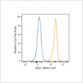 ABflo® 647 Rabbit anti-Human NG2 mAb (100 T)