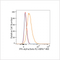 ABflo® 488 Rabbit anti-Human IFN-alpha/beta R2 mAb (100 T)