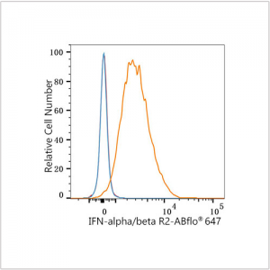 ABflo® 647 Rabbit anti-Human IFN-alpha/beta R2 mAb (100 T)