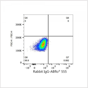 ABflo® 555 Rabbit anti-Human CD45 mAb (100 T)