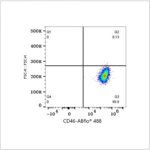 ABflo® 488 Rabbit anti-Human CD46 mAb (100 T)