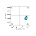 ABflo® 594 Rabbit anti-Human CD46 mAb (100 T)