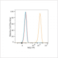 PE Rabbit anti-Human NG2 mAb (100 T)