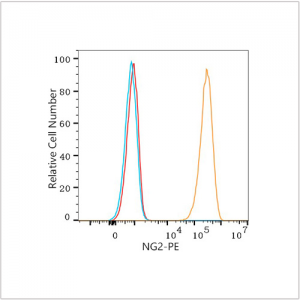 PE Rabbit anti-Human NG2 mAb (100 T)