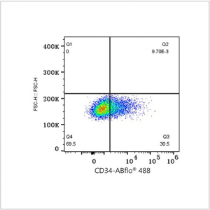 ABflo® 488 Rabbit anti-Human CD34 mAb (100 T)