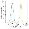ABflo® 488 Rabbit anti-Mouse CD19 mAb (100 T)