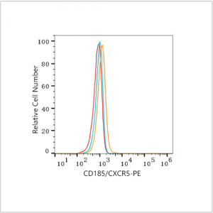 PE Rabbit anti-Human CD185/CXCR5 mAb (100 T)