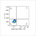 ABflo® 700 Rabbit anti-Human CD13/ANPEP mAb (100 T)