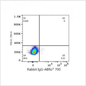 ABflo® 700 Rabbit anti-Human CD13/ANPEP mAb (100 T)