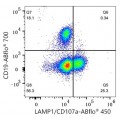 ABflo® 450 Rabbit anti-Human LAMP1/CD107a mAb (100 T)