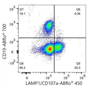 ABflo® 450 Rabbit anti-Human LAMP1/CD107a mAb (100 T)