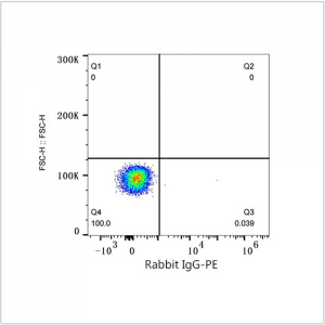 PE Rabbit anti-Human CD13/ANPEP mAb (100 T)