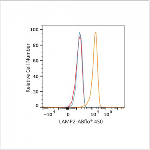 ABflo® 450 Rabbit anti-Human LAMP2 mAb (100 T)