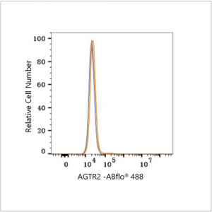 ABflo® 488 Rabbit anti-Human AGTR2 mAb (100 T)
