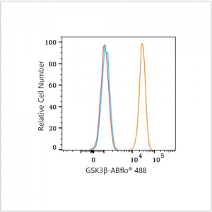 ABflo® 488 Rabbit anti-Human GSK3β mAb (100 T)