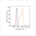 ABflo® 450 Rabbit anti-Human Ki67 mAb (100 T)