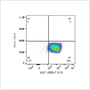 ABflo® 610 Rabbit anti-Human Ki67 mAb (100 T)
