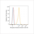 PE Rabbit anti-Human Phospho-Histone H2AX-S139 mAb (100 T)