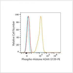 PE Rabbit anti-Human Phospho-Histone H2AX-S139 mAb (100 T)