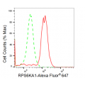 KD-Validated RPS6KA1 Rabbit mAb (20 μl)