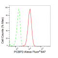 KD-Validated PCBP2 Rabbit mAb (20 μl)