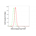KD-Validated RAC3 Rabbit mAb (20 μl)