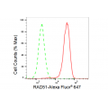 KD-Validated RAD51 Rabbit mAb (20 μl)