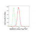 KD-Validated SMARCE1 Rabbit mAb (20 μl)