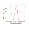 KD-Validated CD99 Rabbit mAb (20 μl)